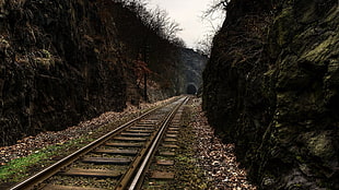 brown and white wooden fence, railway, tunnel, tunnels