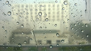 water droplet, water drops, rain, water on glass