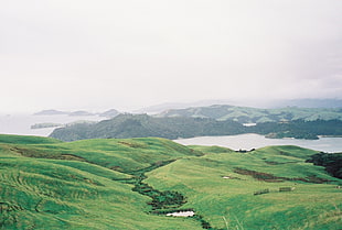 green field, landscape