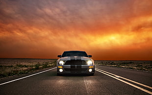 blue Ford Mustang, car, Ford HD wallpaper
