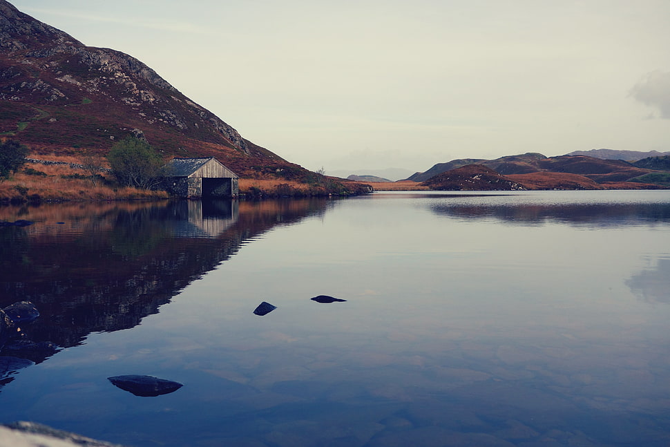 white storage house beside lake HD wallpaper