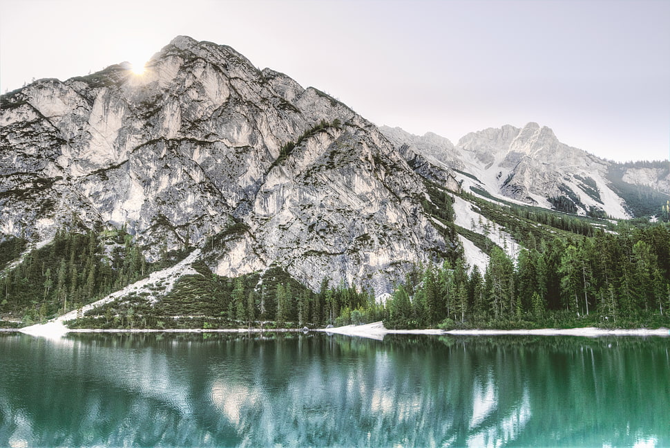 mountains, nature, forest, trees HD wallpaper