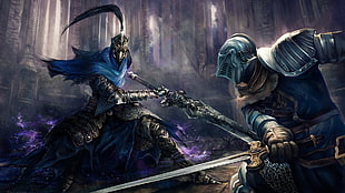 game poster, fantasy art, Dark Souls, Artorias the Abysswalker