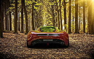 red sports coupe, Aston Martin DBC, Aston Martin, concept cars HD wallpaper