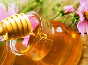 Honey syrup on clear glass jar HD wallpaper
