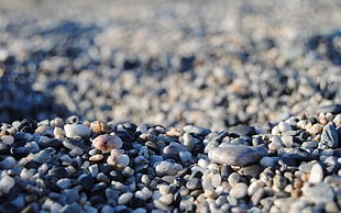 selective focus photography of pebbles HD wallpaper
