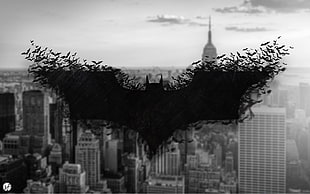 photo of Batman logo, Batman logo, Batman