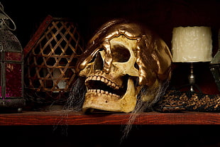 gold skull figurine, skull