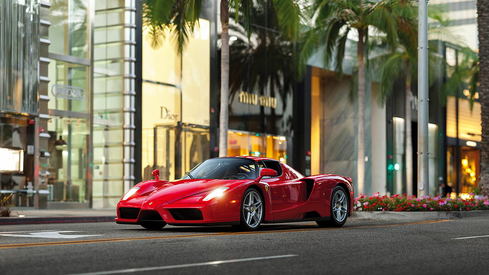 red 5-door hatchback, car, street, Ferrari, palm trees HD wallpaper