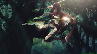 Attack on Titans Mikasa Ackerman, anime, Shingeki no Kyojin, Mikasa Ackerman HD wallpaper