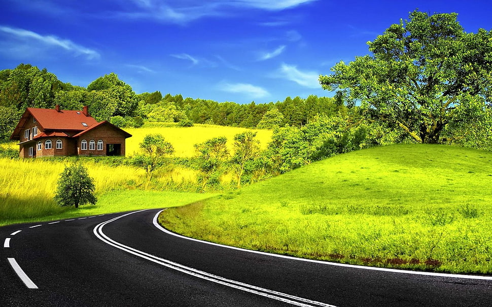 black asphalt road, landscape, spring, hills, trees HD wallpaper