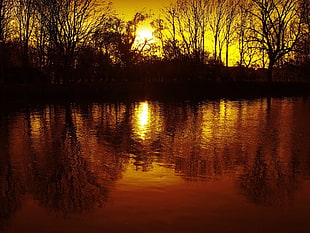 reflection of trees in body of water at sunset
