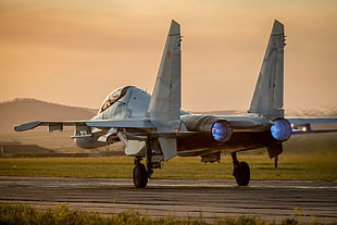 gray Blackhead Martin F-22 Raptor, warplanes, sukhoi Su-30