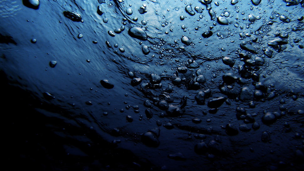 white droplets, water, bubbles, blue, underwater HD wallpaper