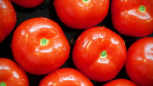 several red tomatoes