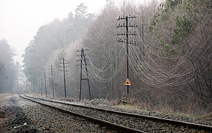 railways between trees at daytime HD wallpaper