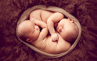 two babies on brown background