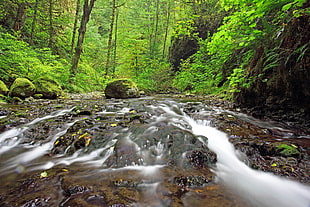 running stream of water in the forest HD wallpaper