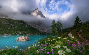 garden near blue body of water with mountain in distant