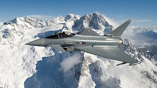 grey jet fighter, vehicle, airplane, jet fighter, Eurofighter Typhoon