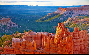 brown mountain, bryce canyon HD wallpaper