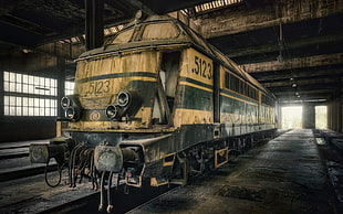 white and black train, train, vehicle HD wallpaper