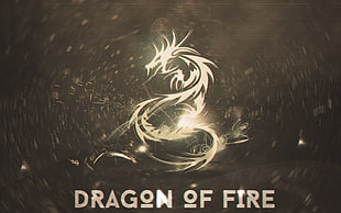 Dragon of Fire illustration, dragon HD wallpaper