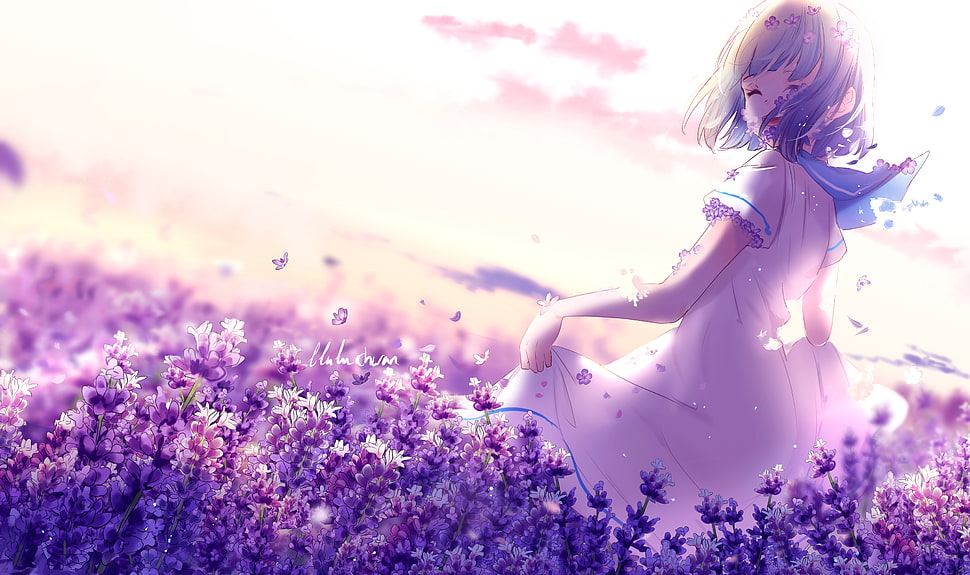 female anime character, Anime girl, Lavender flowers, Purple HD wallpaper