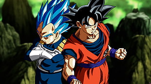 Goku and Vegeta from Dragonballs, Son Goku, Vegeta, Dragon Ball Super, Super Saiyan Blue HD wallpaper