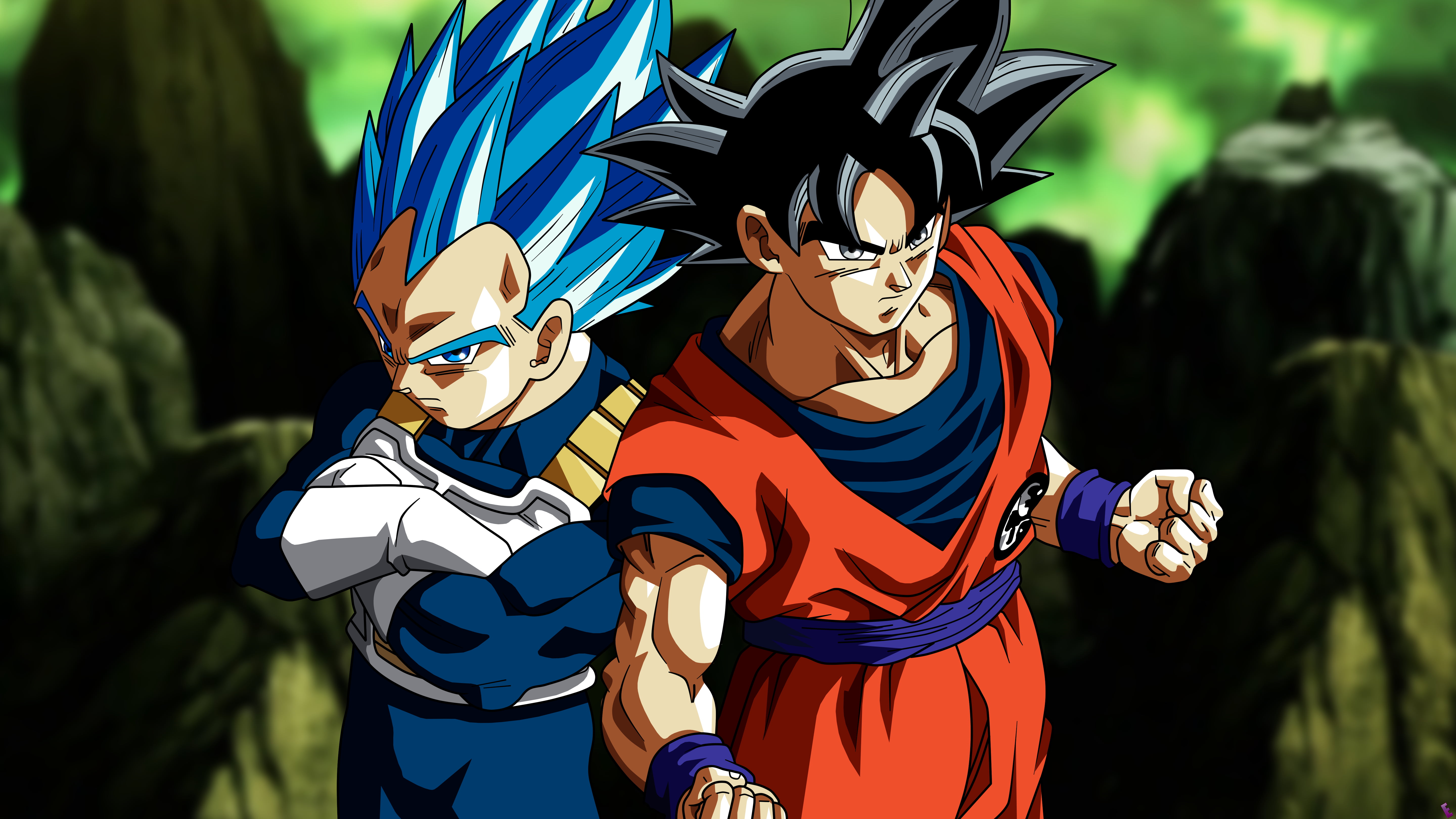 Goku And Vegeta From Dragonballs Son Goku Vegeta Dragon Ball Super Super Saiyan Blue Hd Wallpaper Wallpaper Flare