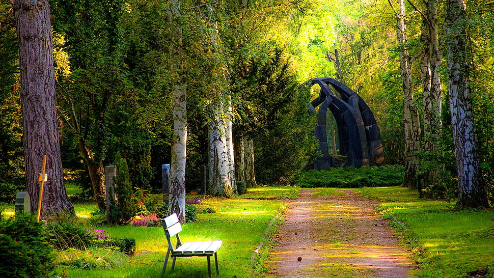 white bench, park, trees, plants, bench HD wallpaper