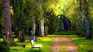 white bench, park, trees, plants, bench