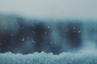 nature, snow, cold, snowflakes HD wallpaper