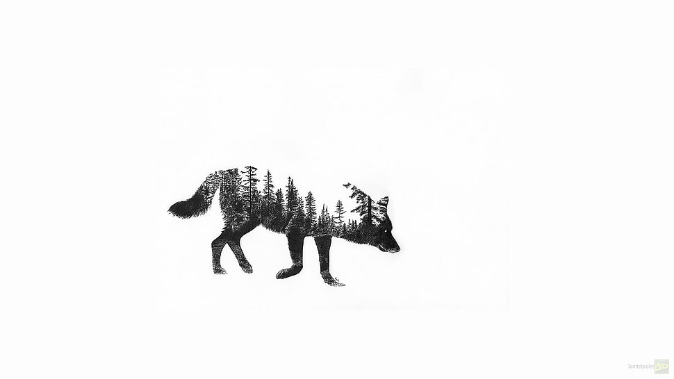 wolf digital wallpaper HD wallpaper