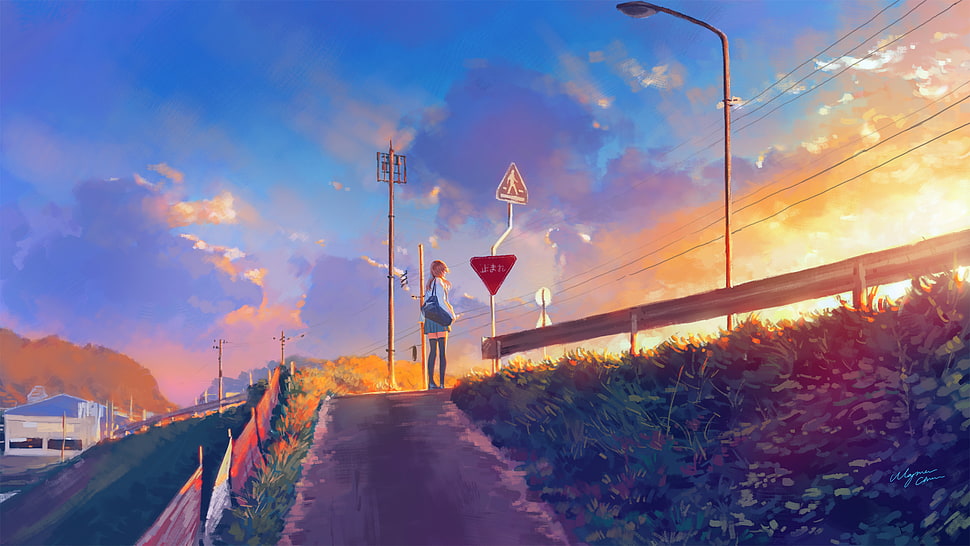 Anime character during sunset, anime, anime girls HD wallpaper ...