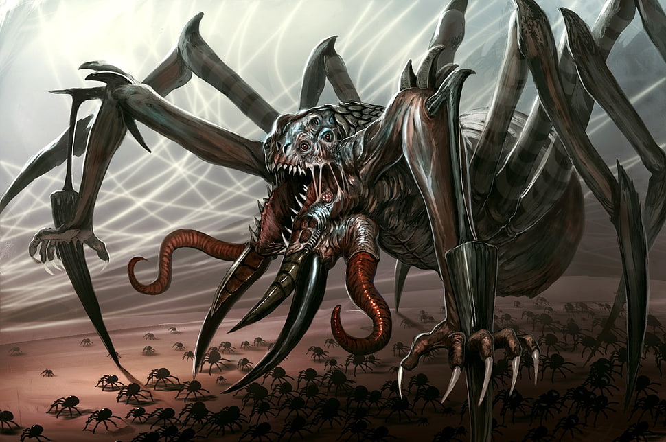 gray and brown spider illustration, creature, fantasy art, artwork, Giant Spider HD wallpaper