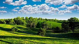 landscape photography of green hills with trees under heavy clouds