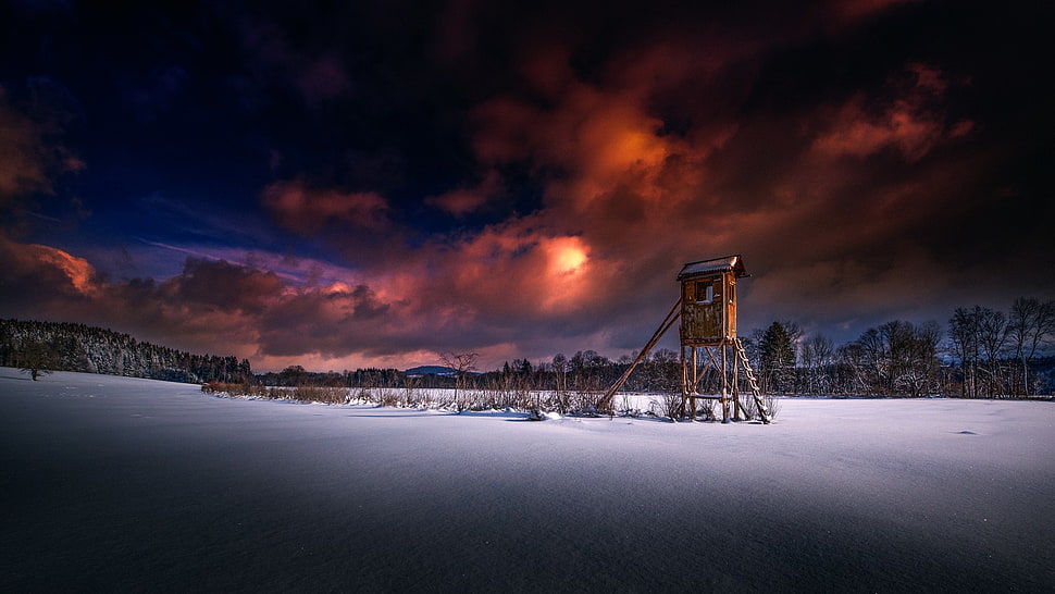 watchtower on white field digital wallpaper, Austria, winter, snow, nature HD wallpaper