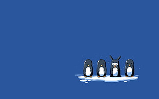 four black penguins, simple, minimalism, penguins, rabbits