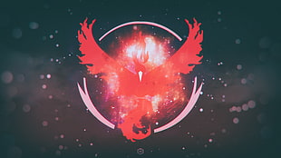 illustration of red bird HD wallpaper