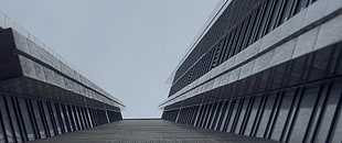 low-angle photo of grey high rise building, architecture HD wallpaper