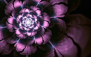 closeup photo of purple petaled flower graphic wallpaper