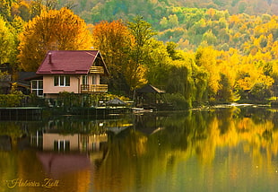 pink and red house, fall, reflection, house HD wallpaper