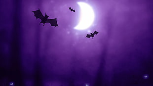 bat illustrations, Halloween, night, bats, Moon