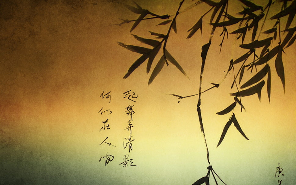 kanji text with yellow background HD wallpaper