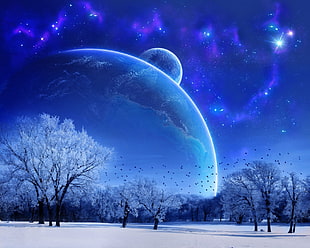 animated panoramic photo of galaxy and white trees HD wallpaper
