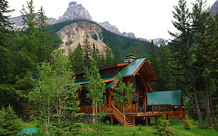 brown and teal wooden house, nature, landscape, mountains, trees