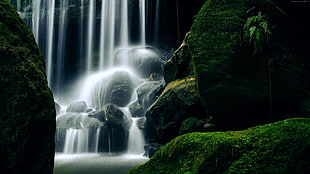 green grass coated waterfalls
