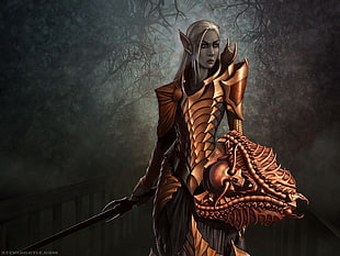 Elf warrior in brown armor illustration HD wallpaper