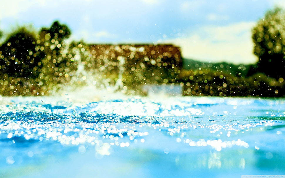 photo of water HD wallpaper